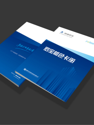 盛德羅寶產(chǎn)品宣傳冊設(shè)計(jì)