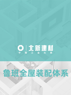 北新建材折頁(yè)設(shè)計(jì)